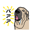 大きな犬 大型犬 スパニッシュマスティフ（個別スタンプ：4）