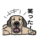 大きな犬 大型犬 スパニッシュマスティフ（個別スタンプ：13）