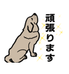 大きな犬 大型犬 スパニッシュマスティフ（個別スタンプ：15）