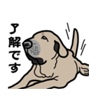 大きな犬 大型犬 スパニッシュマスティフ（個別スタンプ：17）