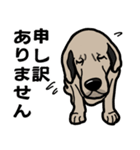 大きな犬 大型犬 スパニッシュマスティフ（個別スタンプ：19）