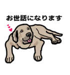 大きな犬 大型犬 スパニッシュマスティフ（個別スタンプ：21）