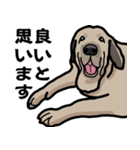 大きな犬 大型犬 スパニッシュマスティフ（個別スタンプ：22）