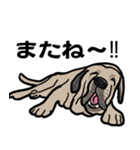 大きな犬 大型犬 スパニッシュマスティフ（個別スタンプ：23）