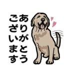 大きな犬 大型犬 スパニッシュマスティフ（個別スタンプ：25）