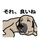 大きな犬 大型犬 スパニッシュマスティフ（個別スタンプ：26）