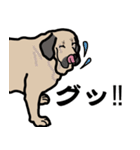 大きな犬 大型犬 スパニッシュマスティフ（個別スタンプ：28）