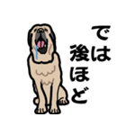 大きな犬 大型犬 スパニッシュマスティフ（個別スタンプ：29）