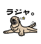 大きな犬 大型犬 スパニッシュマスティフ（個別スタンプ：30）