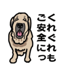 大きな犬 大型犬 スパニッシュマスティフ（個別スタンプ：31）
