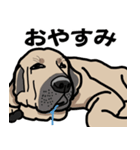 大きな犬 大型犬 スパニッシュマスティフ（個別スタンプ：33）