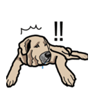 大きな犬 大型犬 スパニッシュマスティフ（個別スタンプ：34）