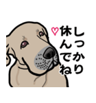 大きな犬 大型犬 スパニッシュマスティフ（個別スタンプ：35）