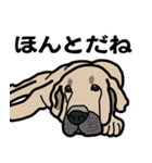 大きな犬 大型犬 スパニッシュマスティフ（個別スタンプ：36）