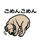 大きな犬 大型犬 スパニッシュマスティフ（個別スタンプ：39）