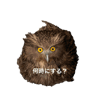 アニマルスタンプぅ（個別スタンプ：7）