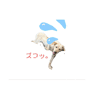 ラブラドールレトリバー 犬 dog（個別スタンプ：4）