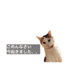 しゃくれサリーと愉快な愉快な仲間たち（個別スタンプ：11）