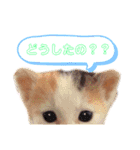 しゃくれサリーと愉快な愉快な仲間たち（個別スタンプ：18）