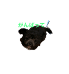 ムギ丸（個別スタンプ：7）