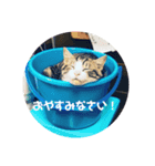 よさくのつぶやき（個別スタンプ：3）