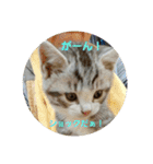 よさくのつぶやき（個別スタンプ：7）