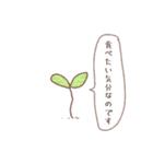 植物さん。（個別スタンプ：11）
