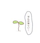 植物さん。（個別スタンプ：12）