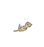 グレーのネコと茶色のねこ（個別スタンプ：7）