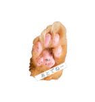 ききのまいにち（個別スタンプ：4）