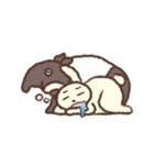 カメくん と ウサギちゃん の日常（個別スタンプ：36）