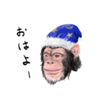 カワイイおさるスタンプ（個別スタンプ：8）