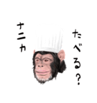 カワイイおさるスタンプ（個別スタンプ：12）
