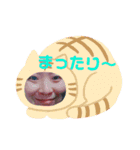 家にいよう！（個別スタンプ：12）