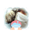 家にいよう！（個別スタンプ：13）