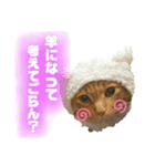 僕の名前は高橋レオです（個別スタンプ：1）