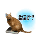 僕の名前は高橋レオです（個別スタンプ：4）