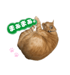 僕の名前は高橋レオです（個別スタンプ：8）