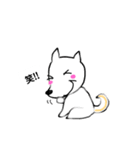 犬のヨモギさん♪（個別スタンプ：8）