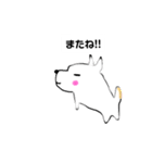 犬のヨモギさん♪（個別スタンプ：19）