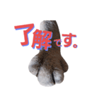 ジミサブ1（個別スタンプ：4）