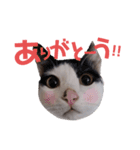 ジミサブ1（個別スタンプ：6）