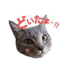 ジミサブ1（個別スタンプ：7）