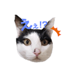 ジミサブ1（個別スタンプ：13）