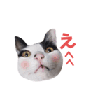 ジミサブ1（個別スタンプ：15）
