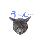 ジミサブ1（個別スタンプ：18）