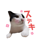 ジミサブ1（個別スタンプ：21）