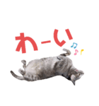 ジミサブ1（個別スタンプ：27）