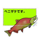 僕の好きな魚のメッセージスタンプ（個別スタンプ：14）