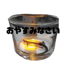 日本とかげのCキャン（個別スタンプ：8）